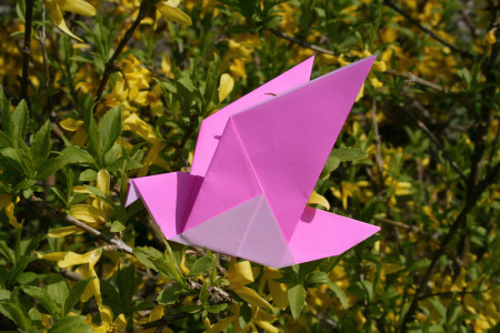 Colomba Origami